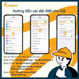 Sim Du Lịch Nhật Bản (IIJ)